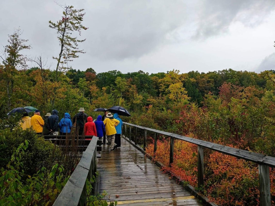 A short hike on Quiddity Trail
