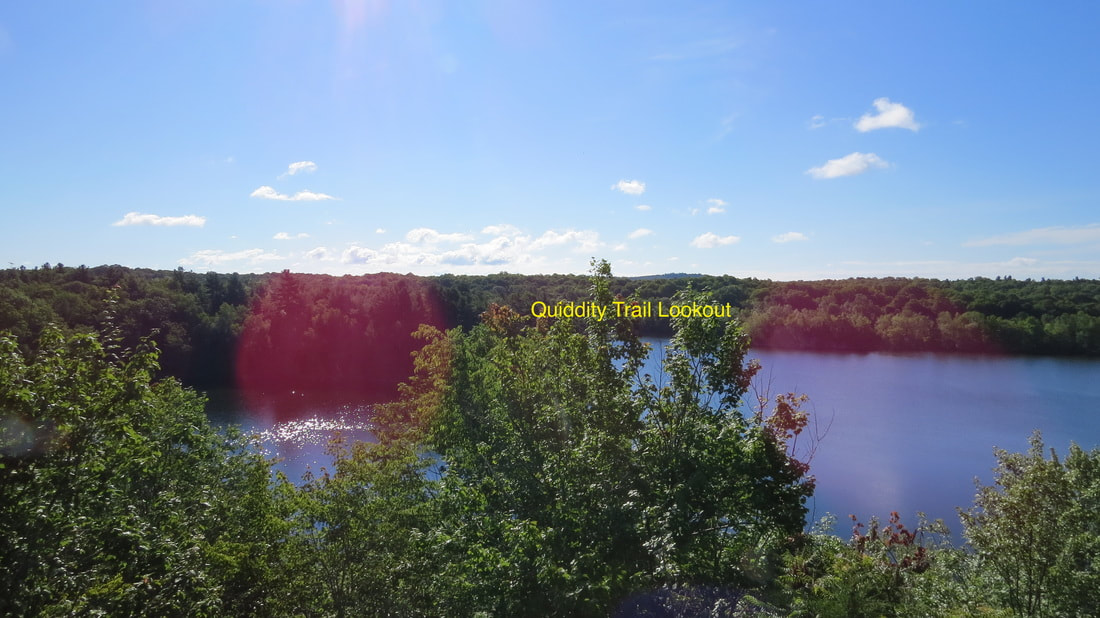 Quiddity Trail Lookout