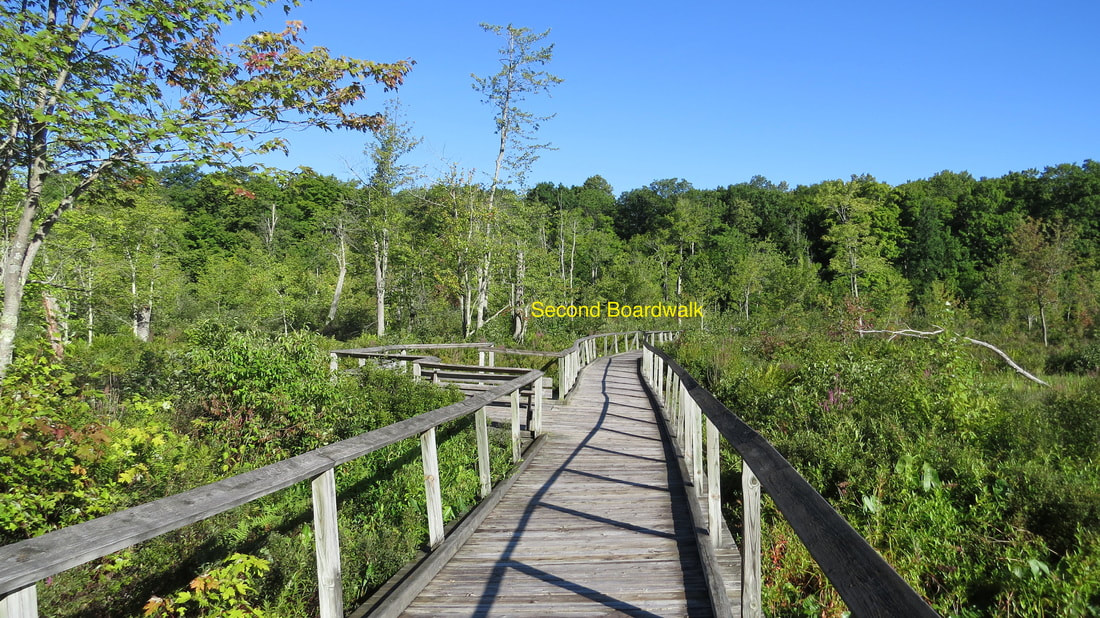 Second Boardwalk