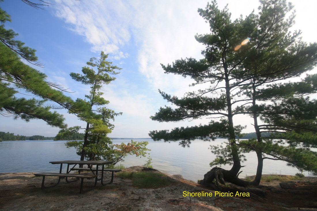 Shoreline Picnic Area