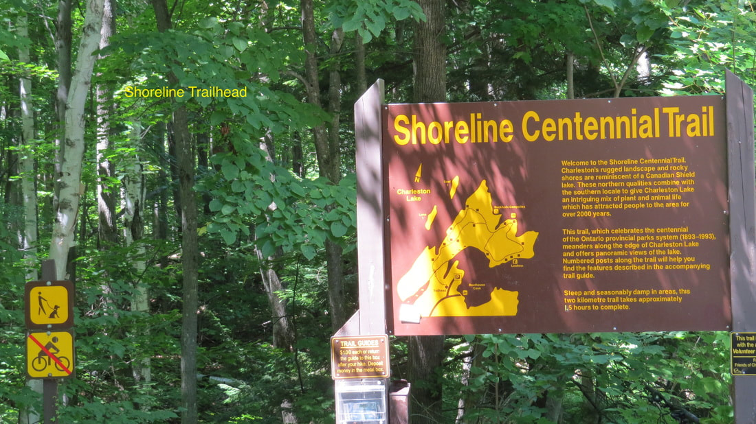 Shoreline Trailhead